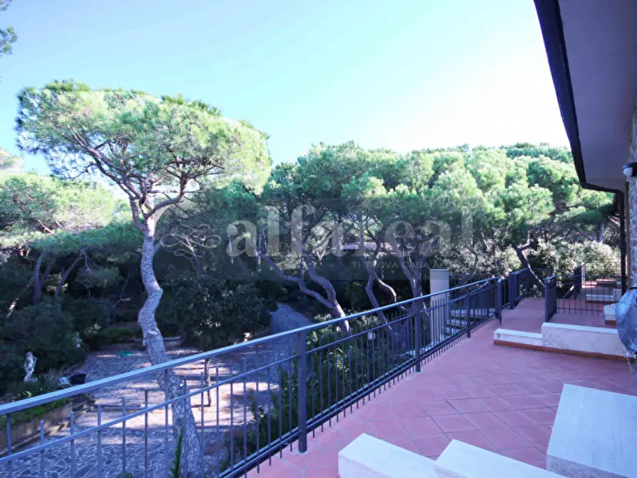 Immagine 22 di Villa in vendita  a Castiglione Della Pescaia