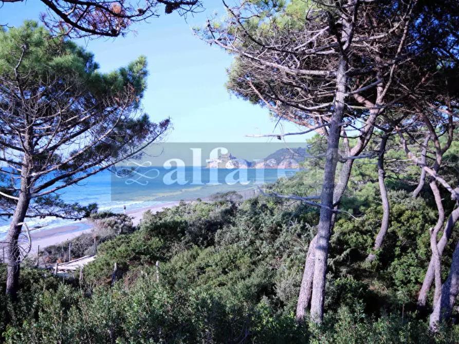 Immagine 23 di Villa in vendita  a Castiglione Della Pescaia