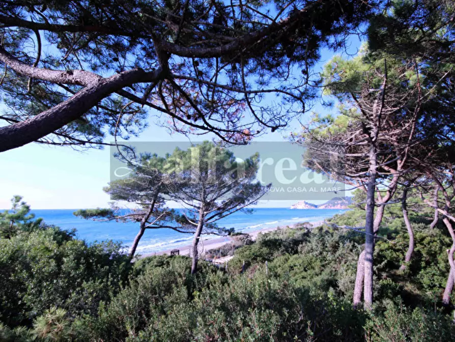 Immagine 24 di Villa in vendita  a Castiglione Della Pescaia