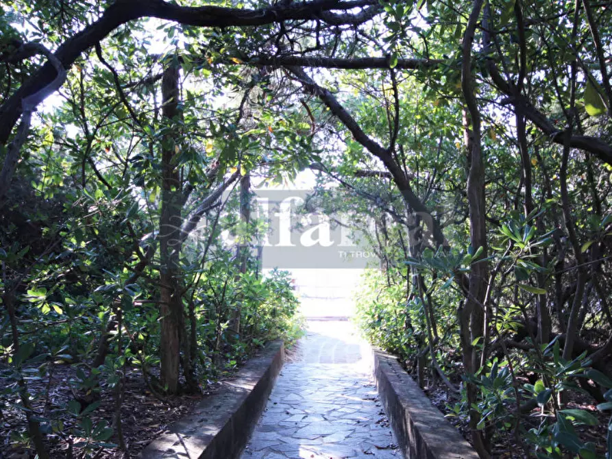 Immagine 27 di Villa in vendita  a Castiglione Della Pescaia