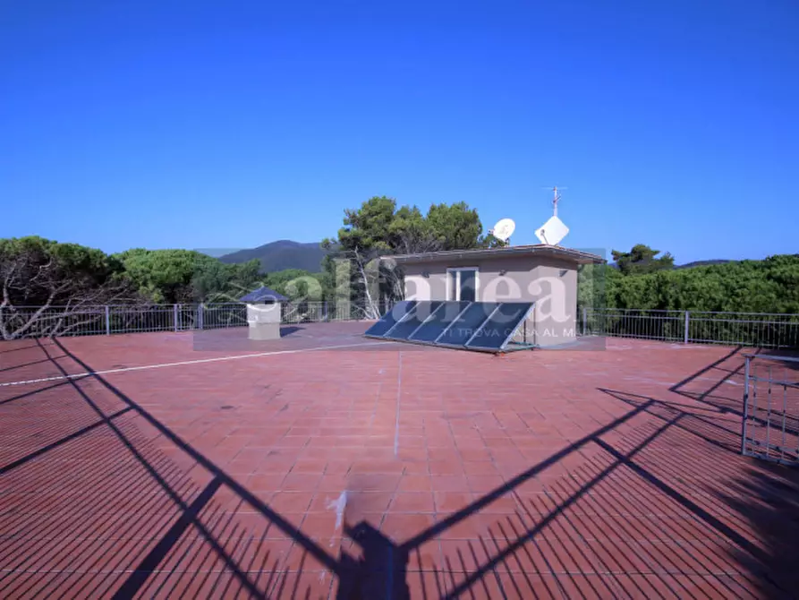 Immagine 31 di Villa in vendita  a Castiglione Della Pescaia