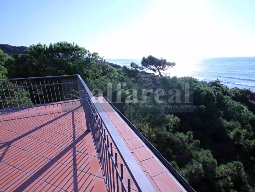 Immagine 34 di Villa in vendita  a Castiglione Della Pescaia
