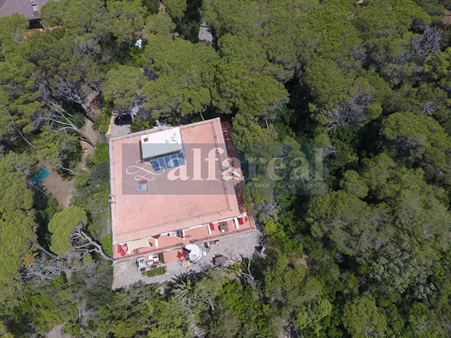 Immagine 38 di Villa in vendita  a Castiglione Della Pescaia