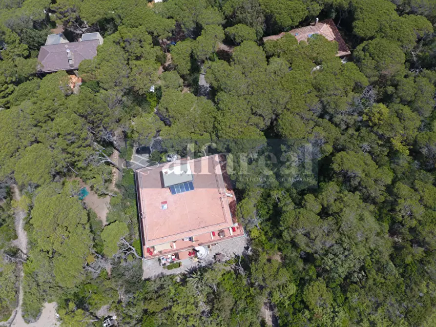 Immagine 39 di Villa in vendita  a Castiglione Della Pescaia