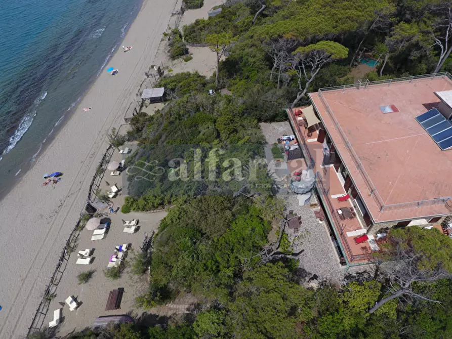 Immagine 40 di Villa in vendita  a Castiglione Della Pescaia