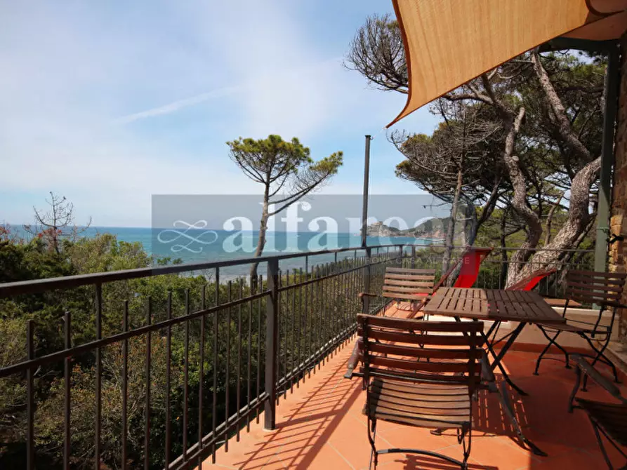Immagine 81 di Villa in vendita  a Castiglione Della Pescaia