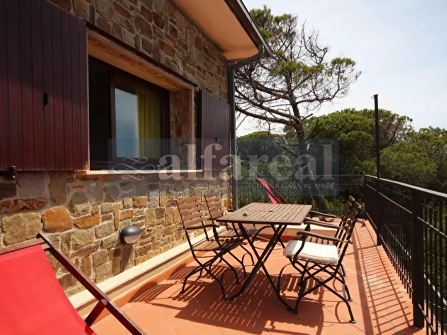 Immagine 82 di Villa in vendita  a Castiglione Della Pescaia