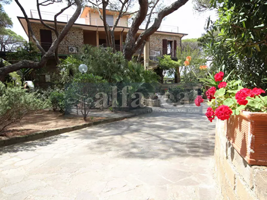 Immagine 85 di Villa in vendita  a Castiglione Della Pescaia
