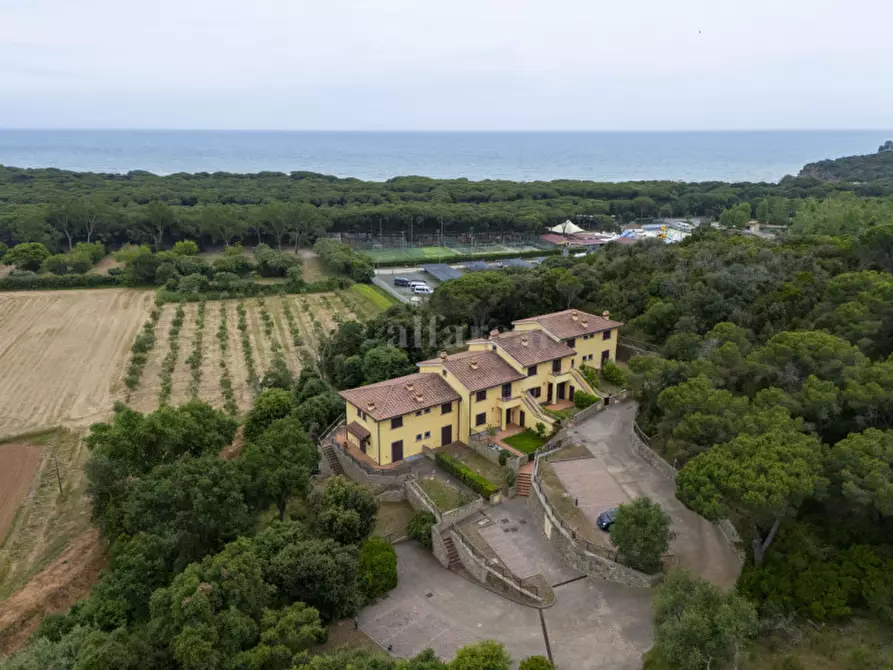 Immagine 2 di Appartamento in vendita  in località Serignano a Castiglione Della Pescaia