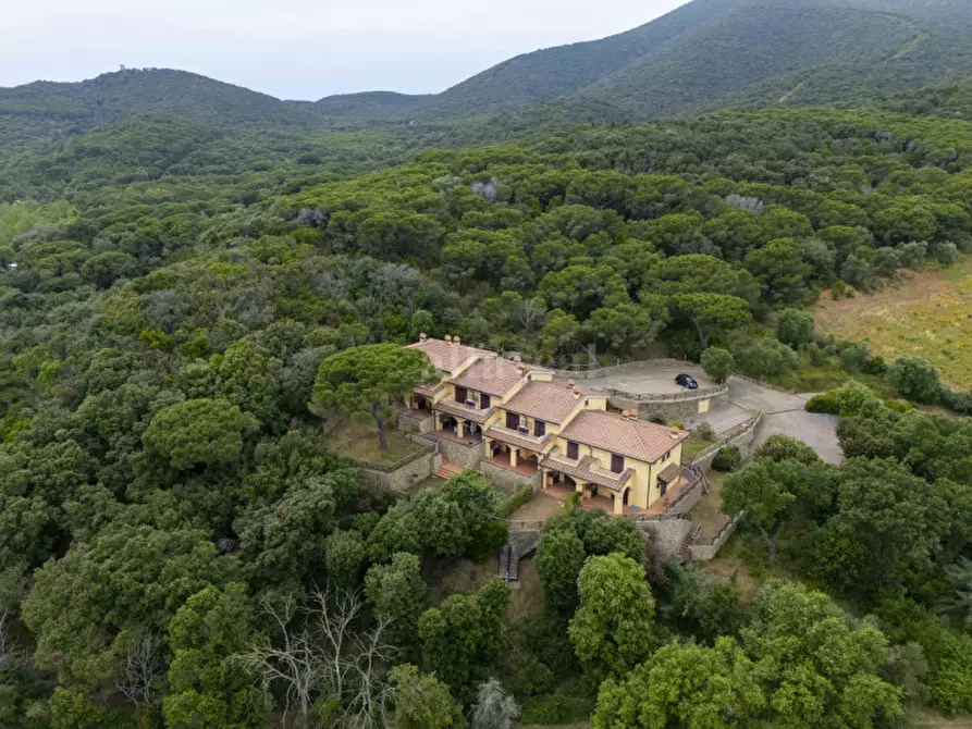 Immagine 28 di Appartamento in vendita  in località Serignano a Castiglione Della Pescaia