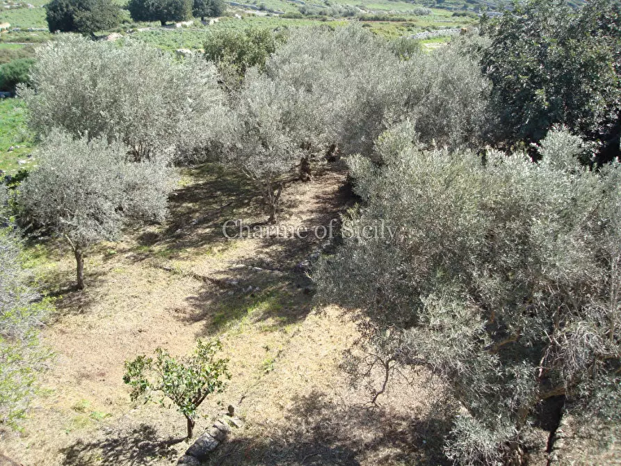 Immagine 24 di Villa in vendita  in Contrada Quartarella a Modica