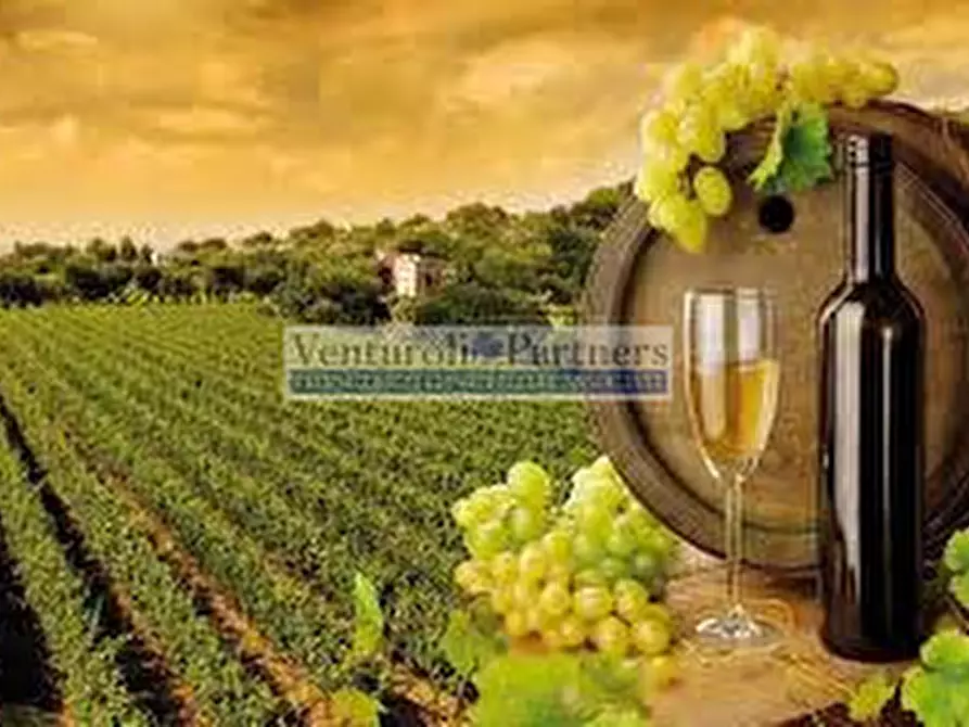 Immagine 5 di Terreno in vendita  in Via San Rocco a Lonato del Garda