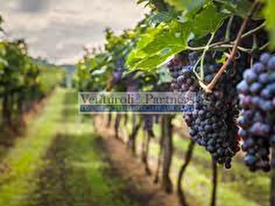 Immagine 6 di Terreno in vendita  in Via San Rocco a Lonato del Garda