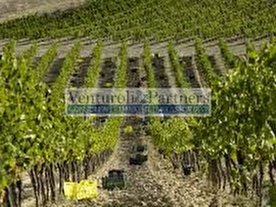 Immagine 8 di Terreno in vendita  in Via San Rocco a Lonato del Garda