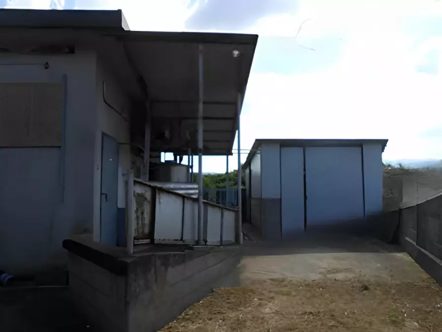 Immagine 3 di Capannone industriale in vendita  in Località Prato a Lamezia Terme