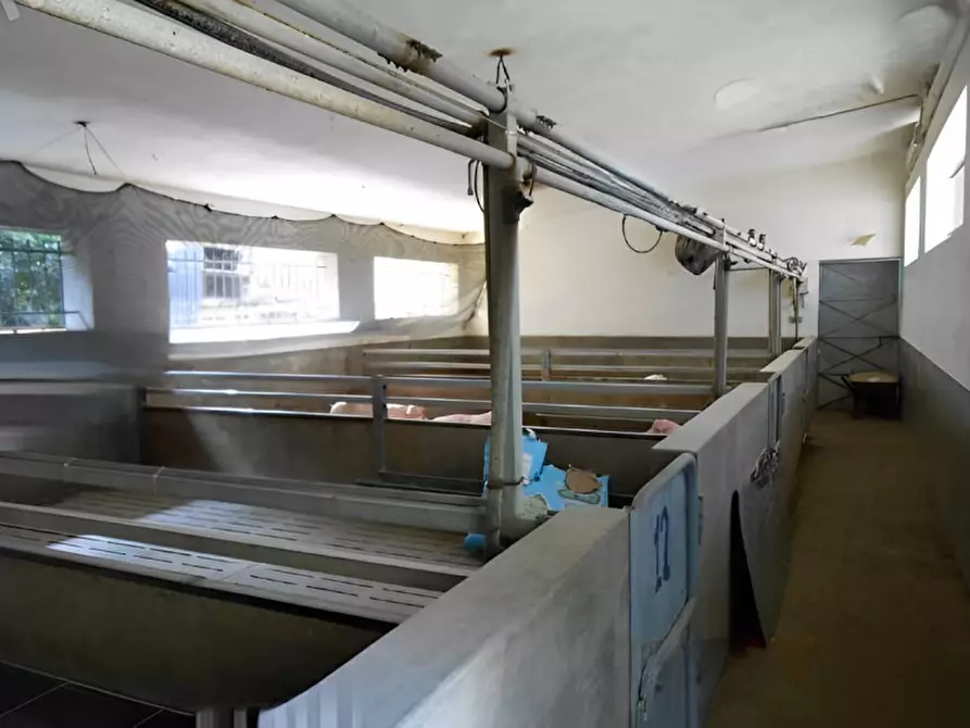 Immagine 5 di Capannone industriale in vendita  in Località Prato a Lamezia Terme