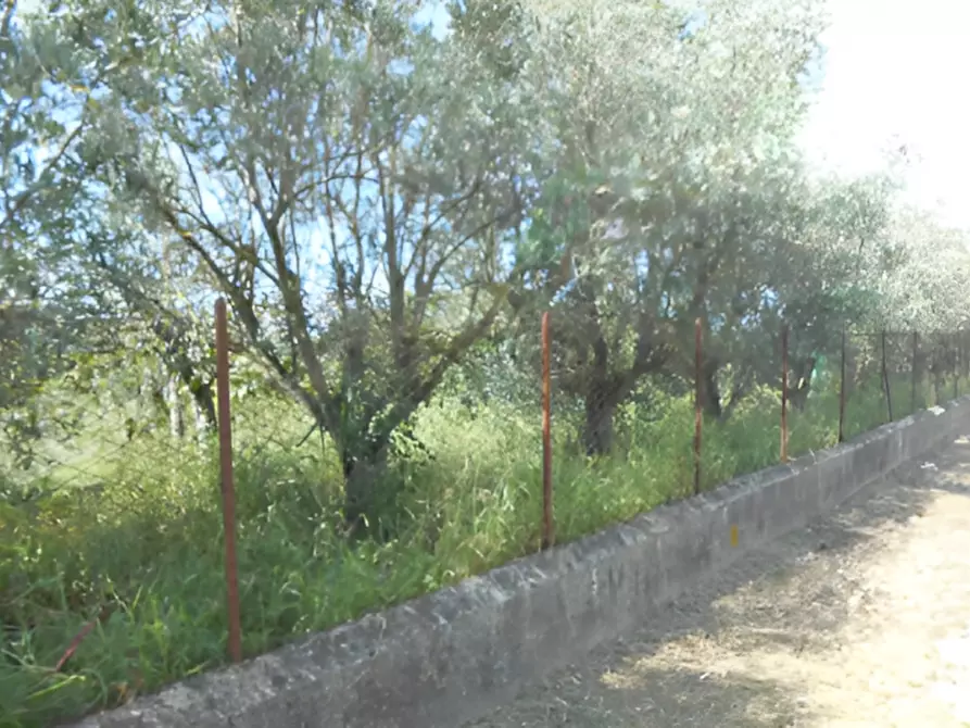 Immagine 7 di Capannone industriale in vendita  in Località Prato a Lamezia Terme