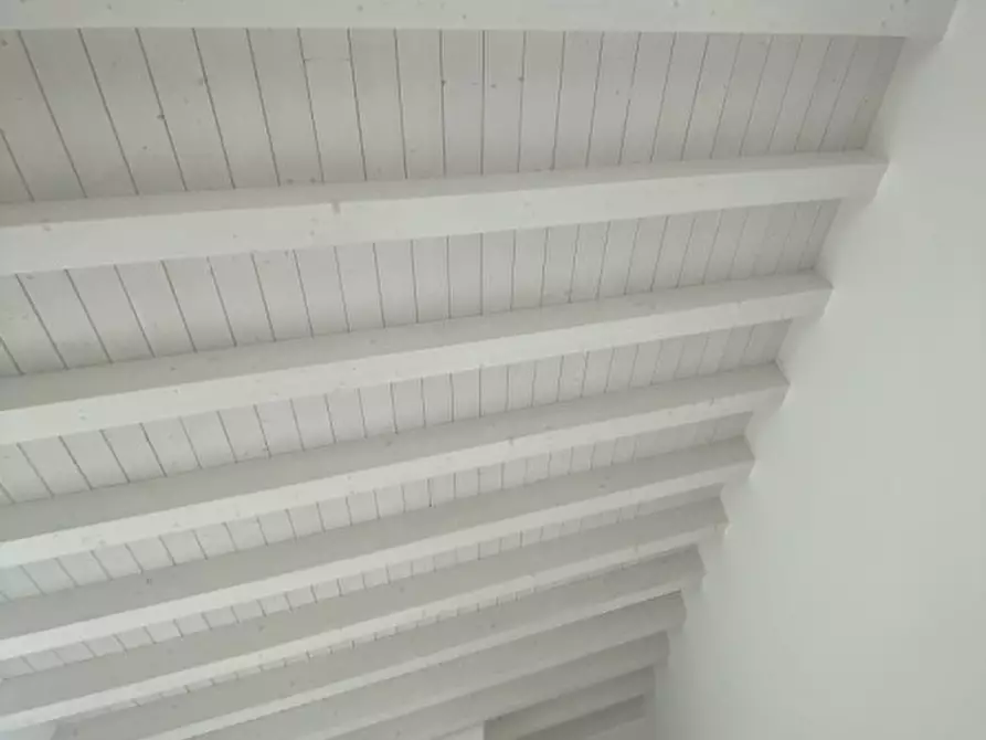 Immagine 4 di Attico in vendita  in via venezia a Vigonza