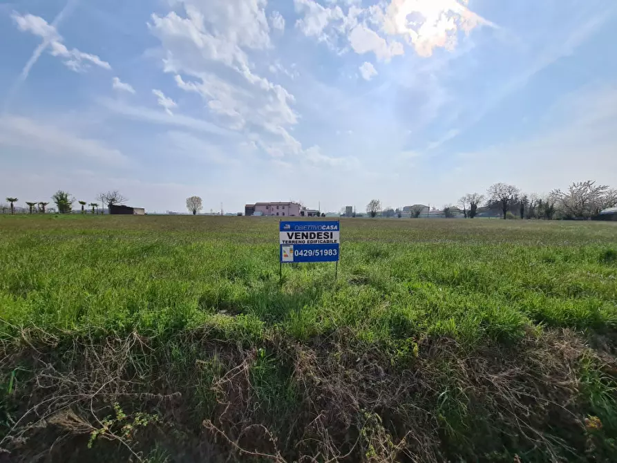 Immagine 1 di Terreno in vendita  in VIA MARCONI a Sant'elena