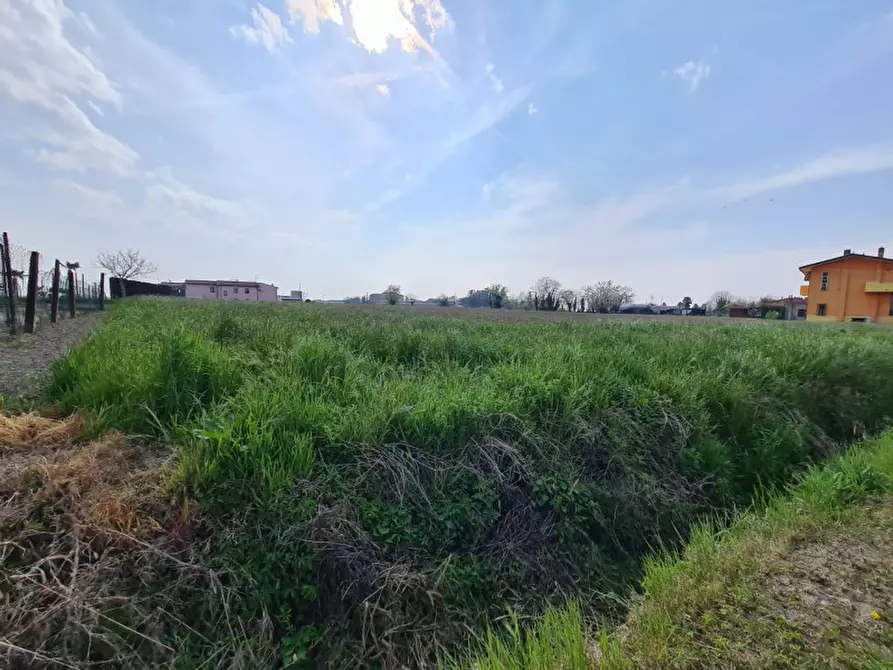 Immagine 4 di Terreno in vendita  in VIA MARCONI a Sant'elena