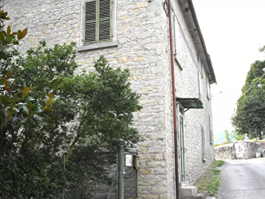 Immagine 4 di Casa indipendente in vendita  in Camposonaldo a Santa Sofia