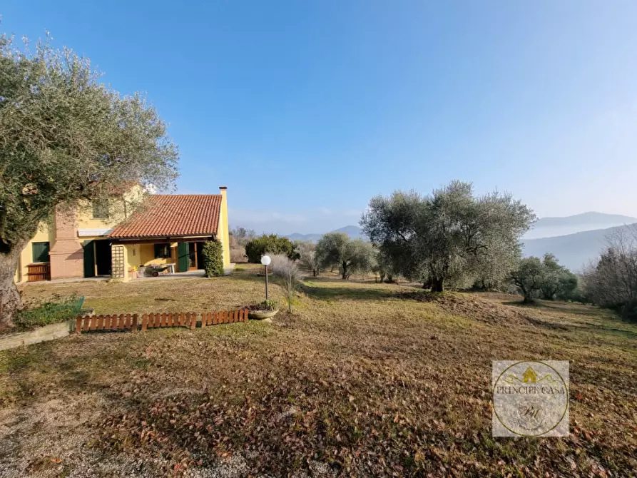 Immagine 7 di Casa indipendente in vendita  in via Belvedere a Baone