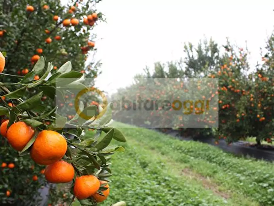 Immagine 2 di Terreno in vendita  a Marostica