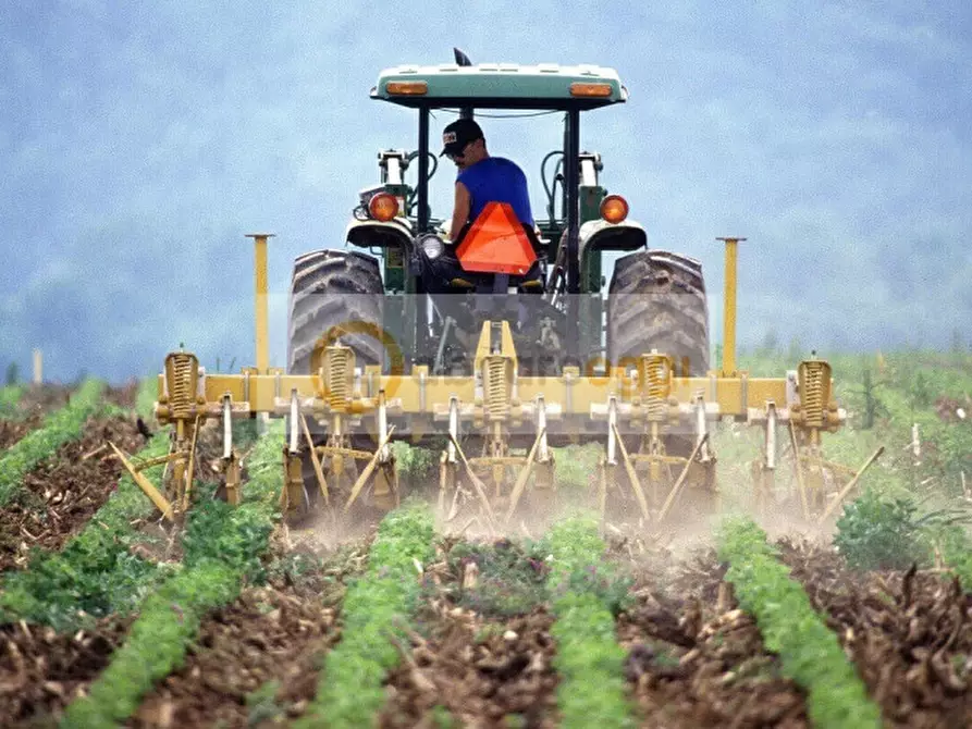 Immagine 3 di Terreno in vendita  a Marostica