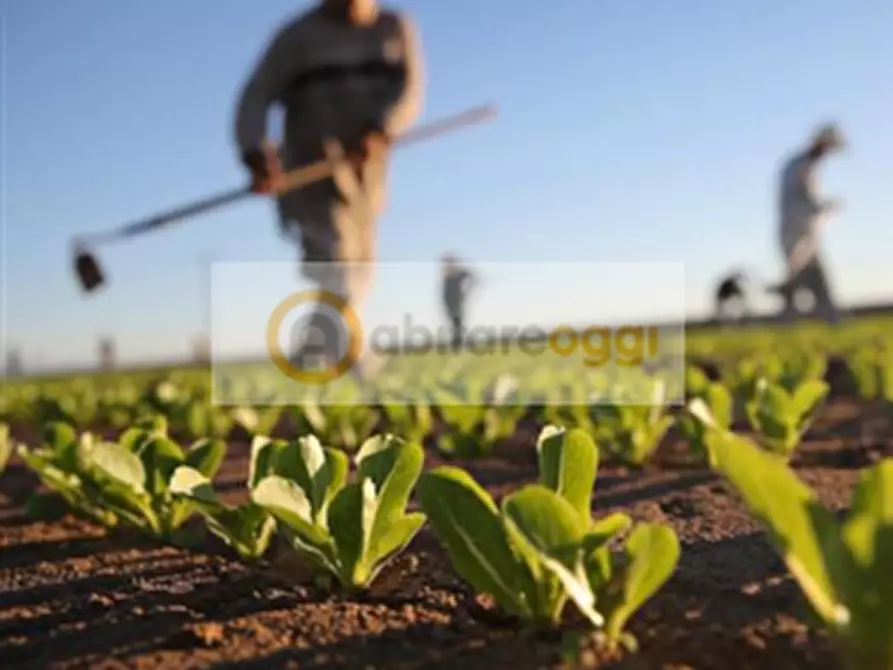 Immagine 4 di Terreno in vendita  a Marostica