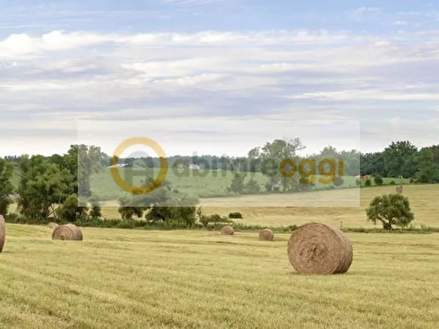 Immagine 5 di Terreno in vendita  a Marostica