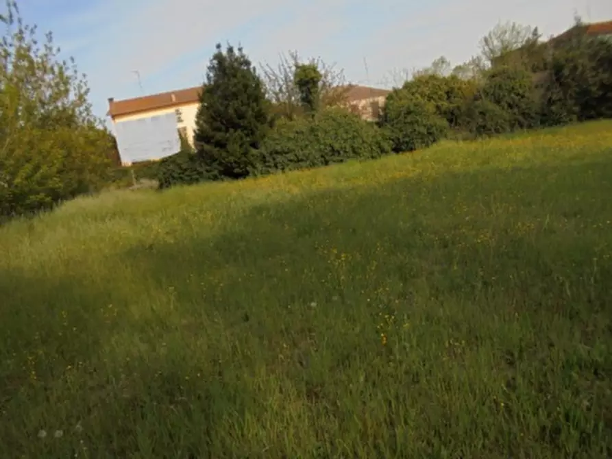 Immagine 2 di Magazzino in vendita  a Riva Del Po