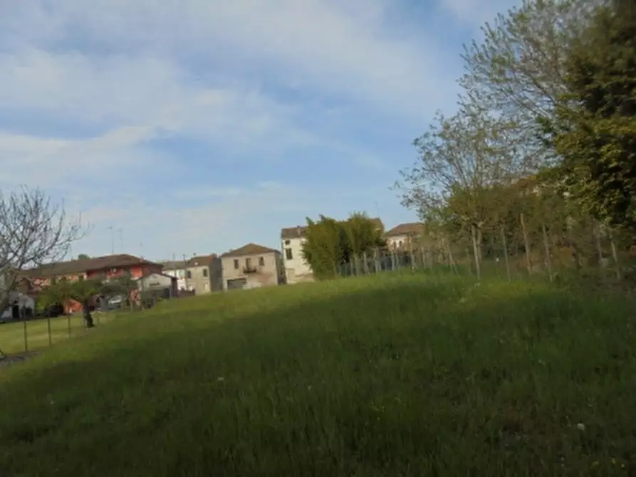 Immagine 3 di Magazzino in vendita  a Riva Del Po