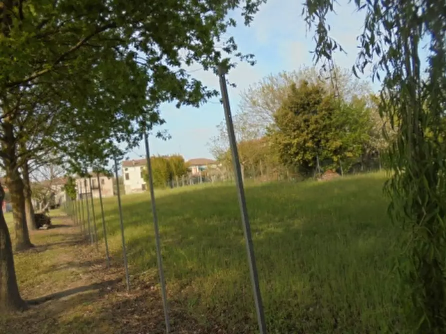 Immagine 4 di Magazzino in vendita  a Riva Del Po