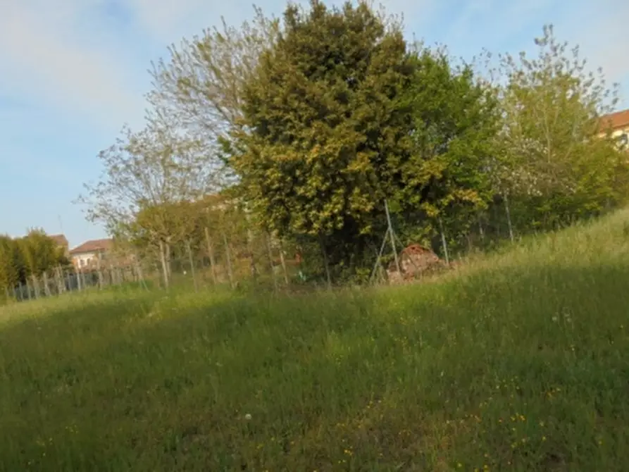 Immagine 5 di Magazzino in vendita  a Riva Del Po