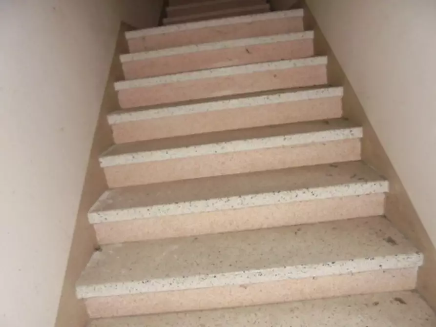 Immagine 8 di Magazzino in vendita  a Riva Del Po