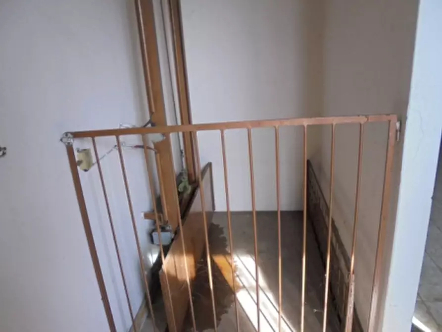 Immagine 9 di Magazzino in vendita  a Riva Del Po