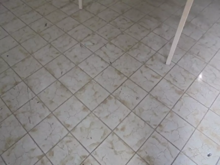 Immagine 11 di Magazzino in vendita  a Riva Del Po