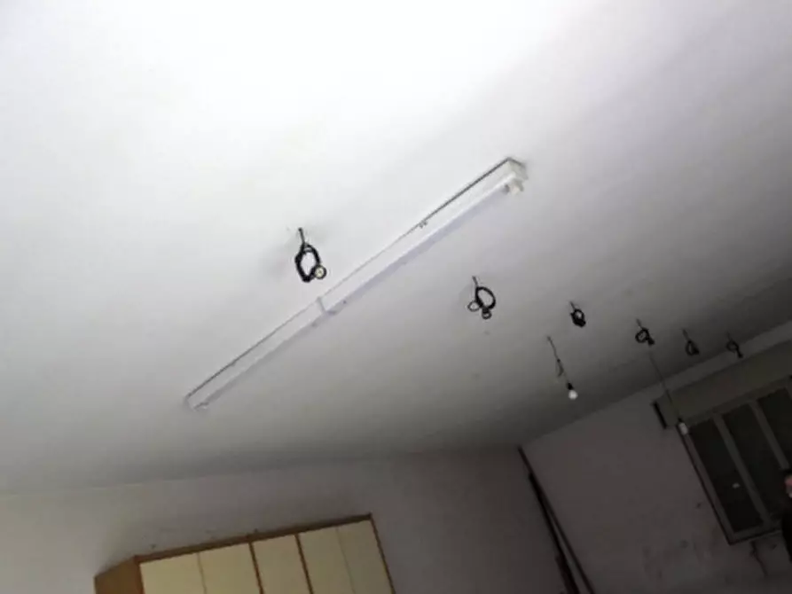 Immagine 12 di Magazzino in vendita  a Riva Del Po