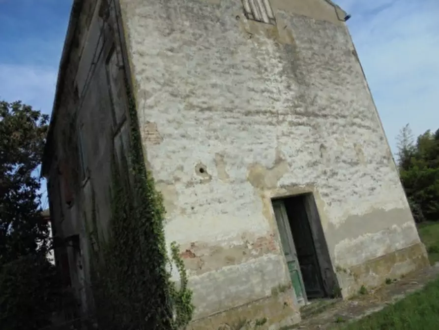 Immagine 20 di Magazzino in vendita  a Riva Del Po