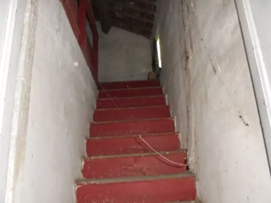 Immagine 24 di Magazzino in vendita  a Riva Del Po