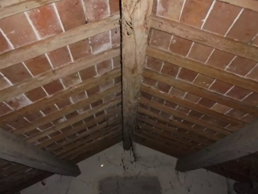 Immagine 26 di Magazzino in vendita  a Riva Del Po