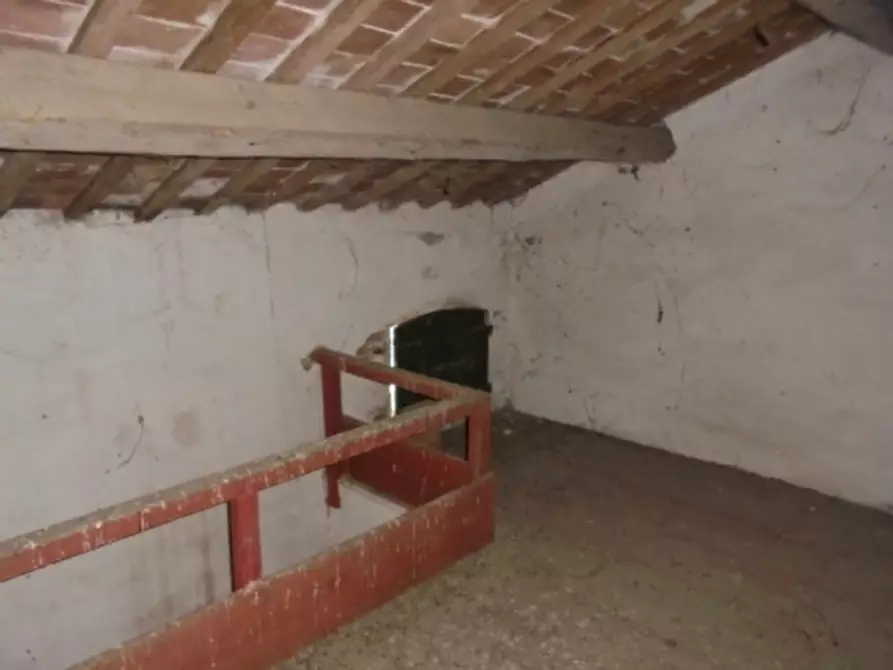 Immagine 27 di Magazzino in vendita  a Riva Del Po