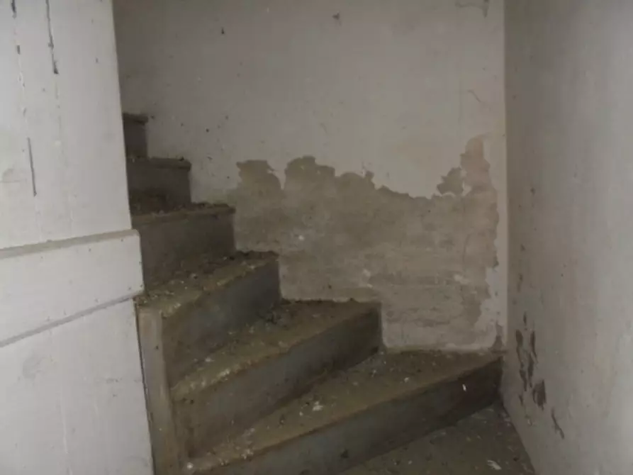 Immagine 28 di Magazzino in vendita  a Riva Del Po