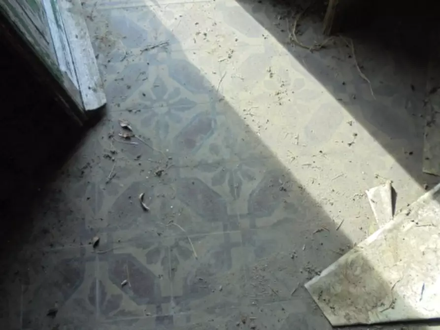 Immagine 31 di Magazzino in vendita  a Riva Del Po