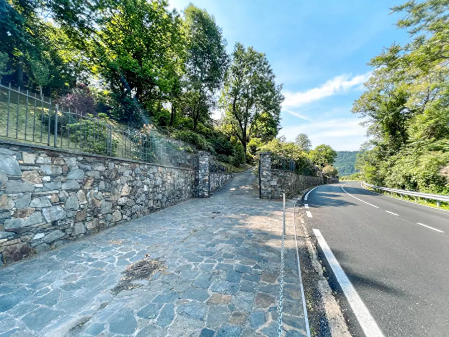 Immagine 19 di Villa in vendita  in via crabbia 1 a Pettenasco