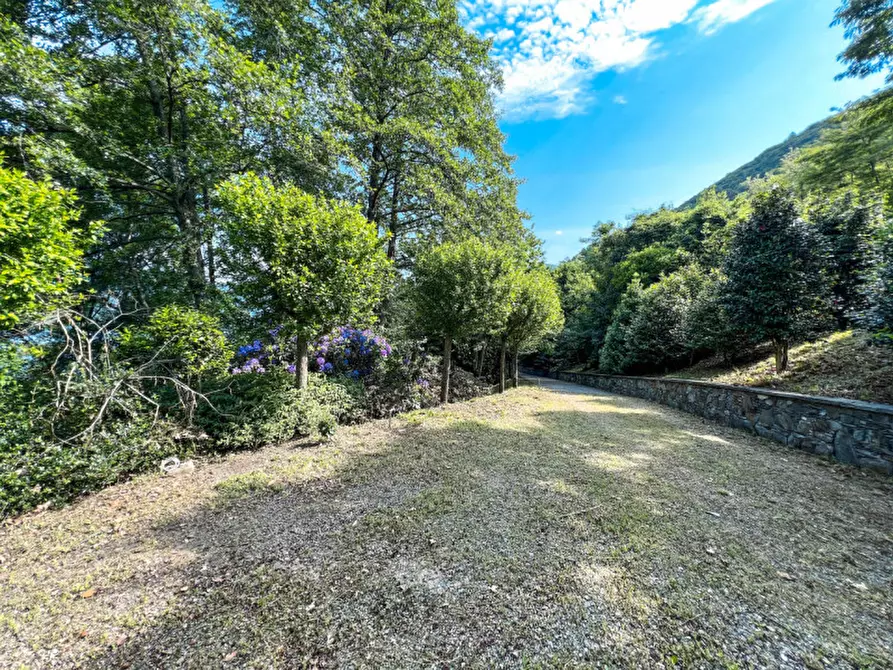 Immagine 20 di Villa in vendita  in via crabbia 1 a Pettenasco