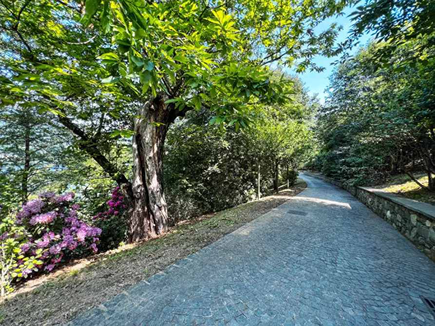 Immagine 27 di Villa in vendita  in via crabbia 1 a Pettenasco