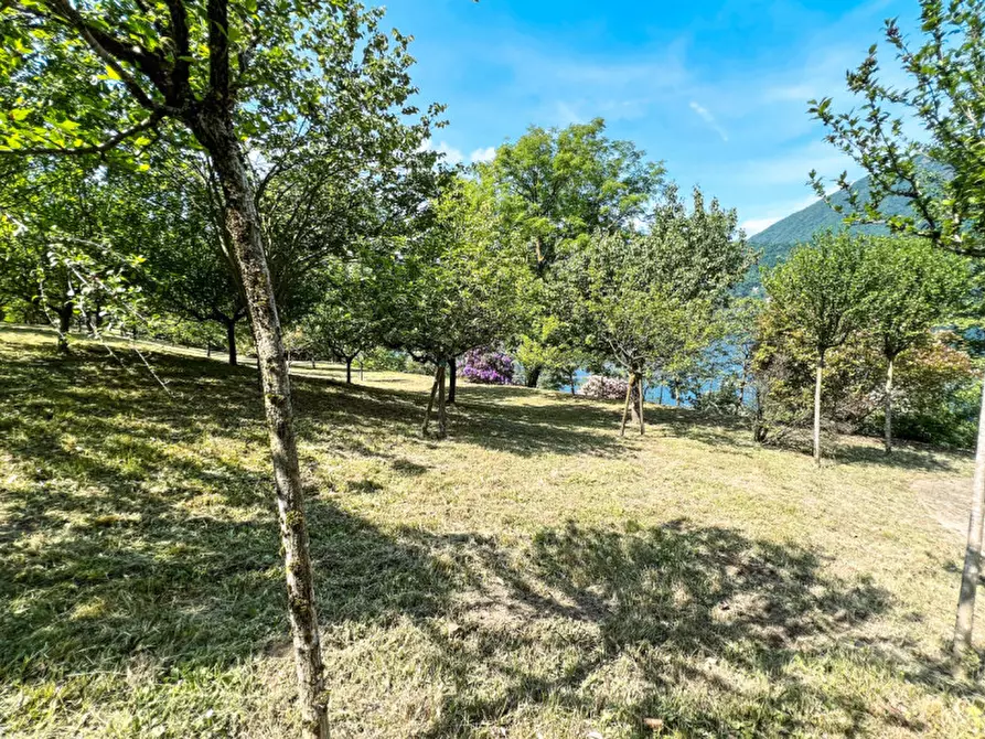 Immagine 28 di Villa in vendita  in via crabbia 1 a Pettenasco