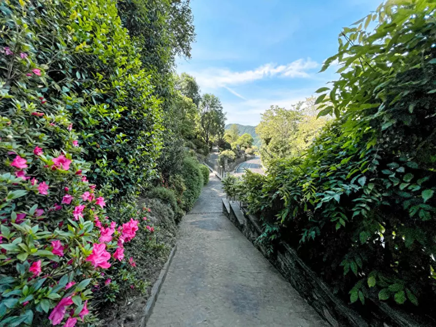 Immagine 29 di Villa in vendita  in via crabbia 1 a Pettenasco