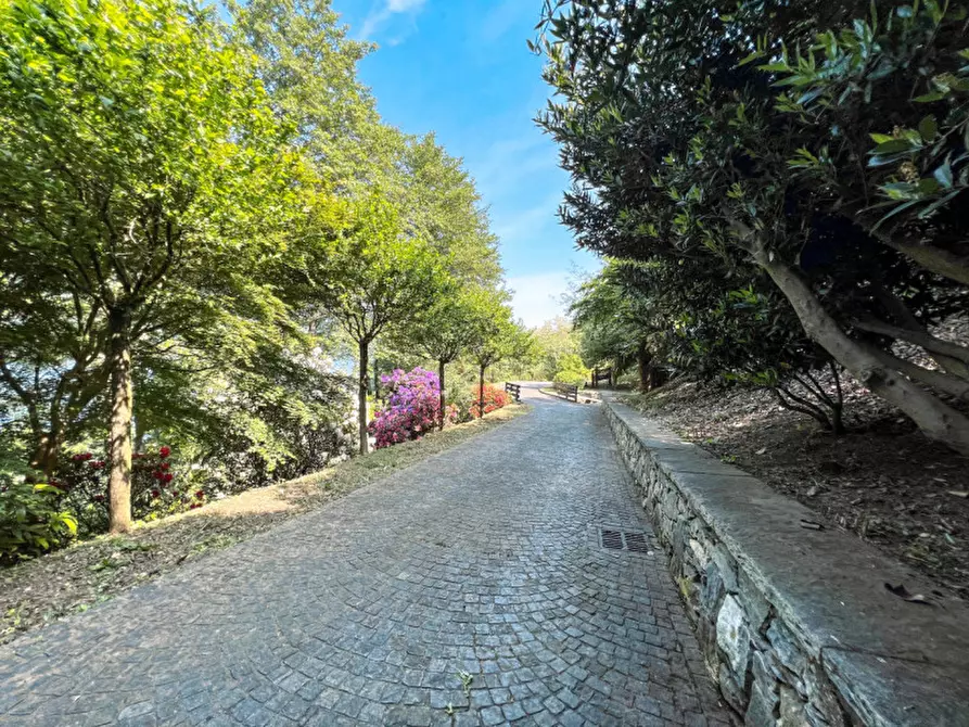 Immagine 33 di Villa in vendita  in via crabbia 1 a Pettenasco